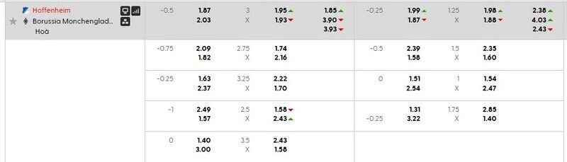 Bảng tỷ lệ kèo Hoffenheim vs Monchengladbach